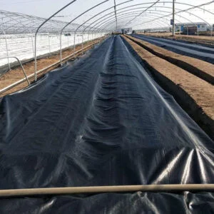 greenhouse weed barrier