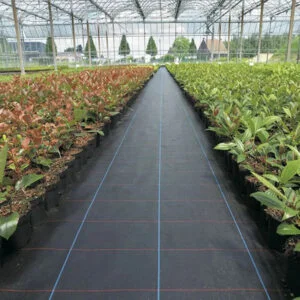 ground cover applications- nurseries