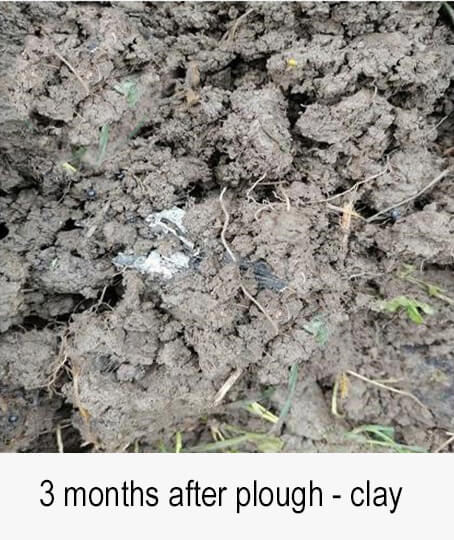 3 months after plough