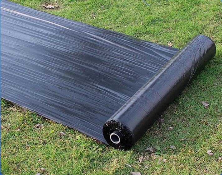 mulch film packed in roll