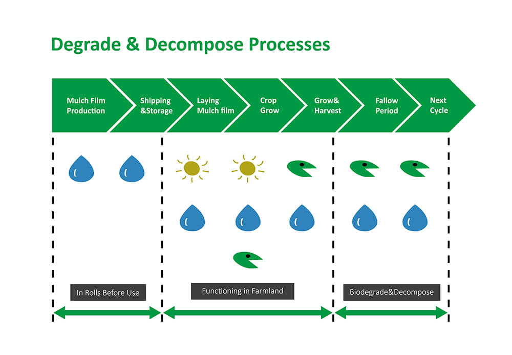 degrade and decompose process