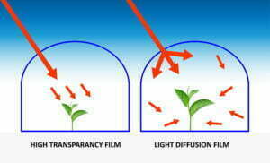 difference between normal greenhouse film and light diffusion film