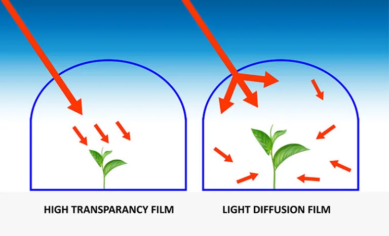 difference between normal greenhouse film and light diffusion film