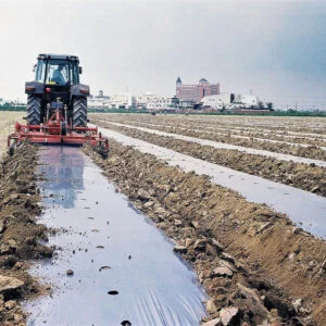 installing mulching membrane